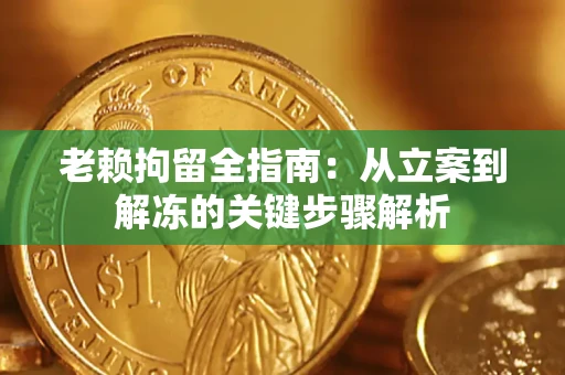 北京老赖拘留全指南：从立案到解冻的关键步骤解析
